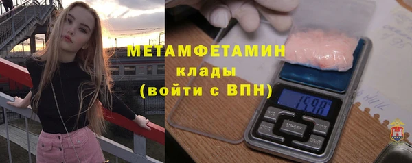 прущие грибы Елизово