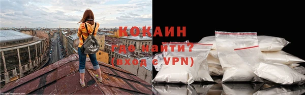 прущие грибы Елизово