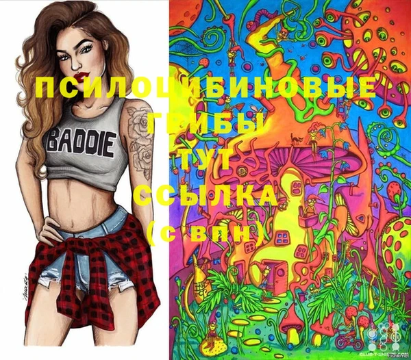прущие грибы Елизово