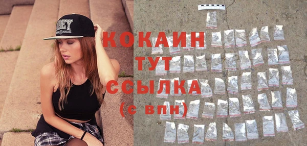 mdpv Ельня