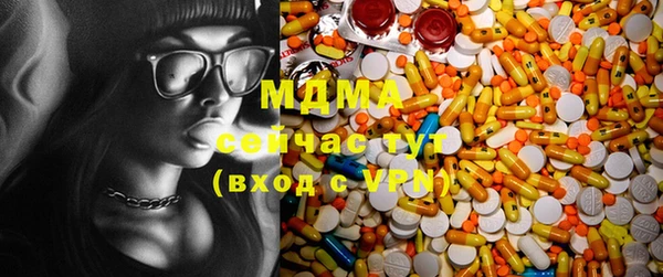 прущие грибы Елизово