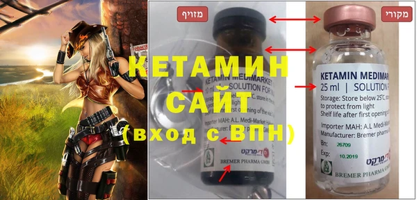прущие грибы Елизово