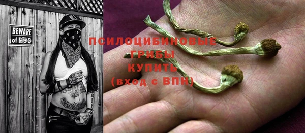 марихуана Заводоуковск