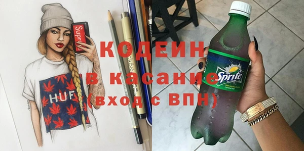 прущие грибы Елизово