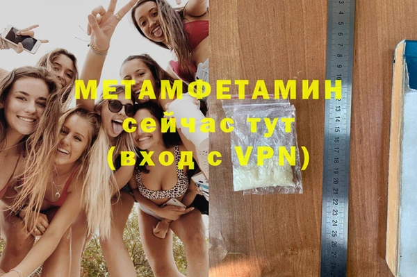 прущие грибы Елизово