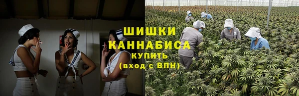 прущие грибы Елизово
