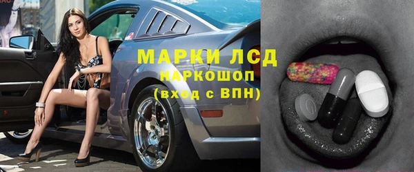 гидропоника Елабуга