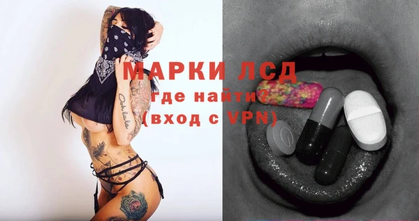гидропоника Елабуга